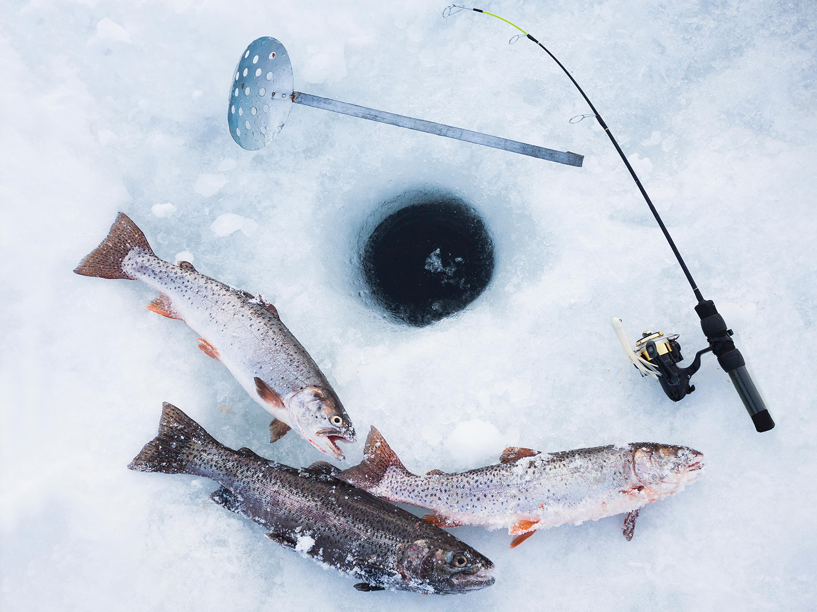 Ice Fishing Tour