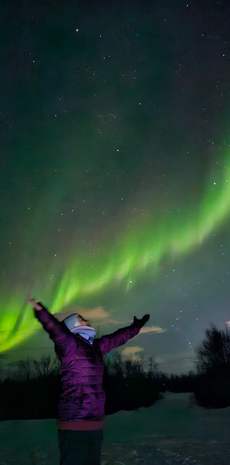 Aurora Borealis green lights dancing in Arctic sky