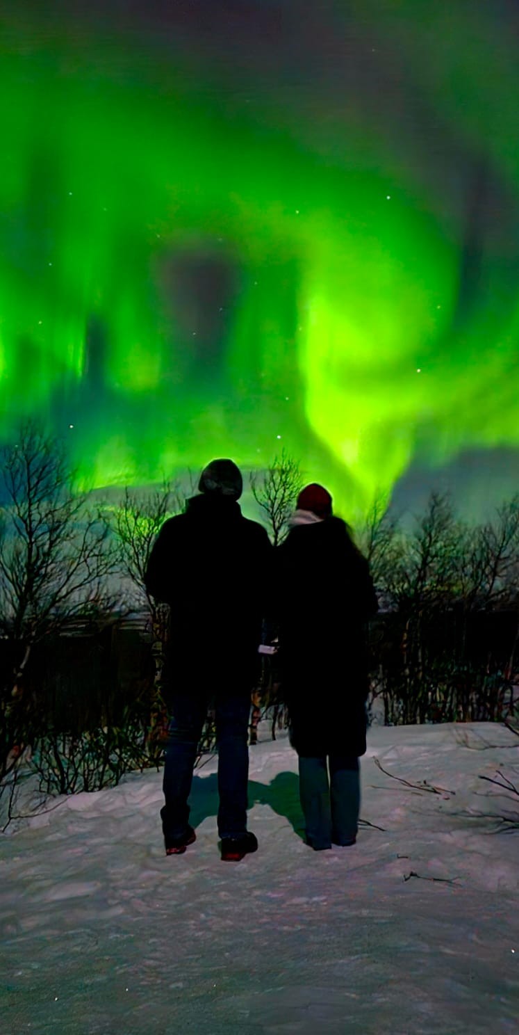 Aurora borealis winter night sky in Arctic Circle