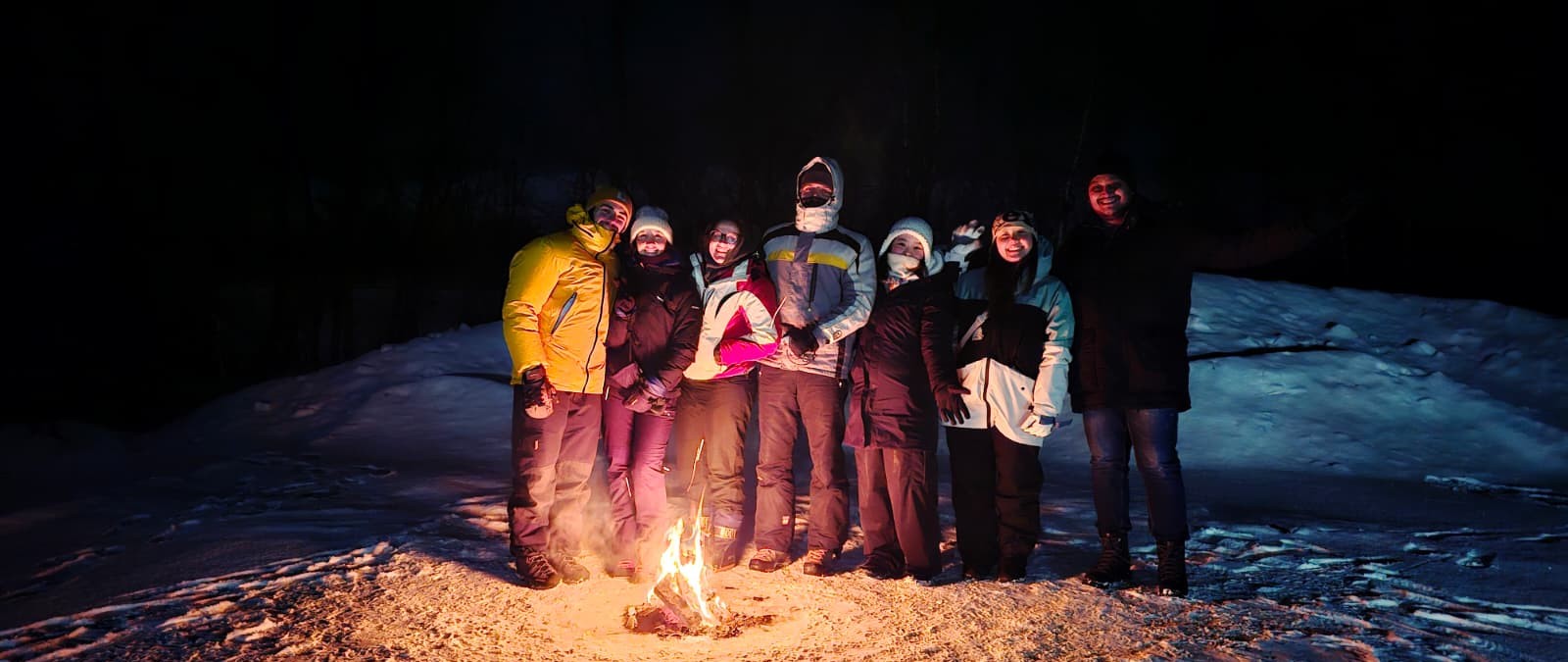 Bright green aurora borealis display Swedish Arctic